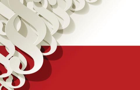 Polski system podatkowy wykazuje tendencję do usuwania barier administracyjnych