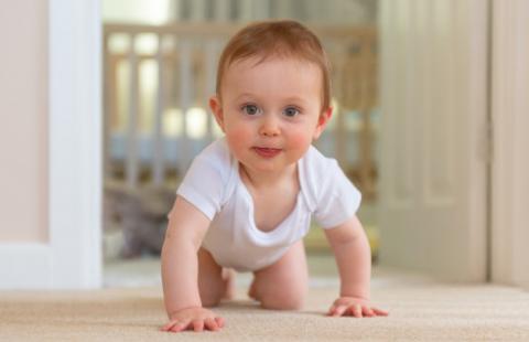 Gminna kasa dla bobasa