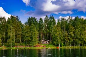 Rozpoczęła się kampania "Natura nie boli"