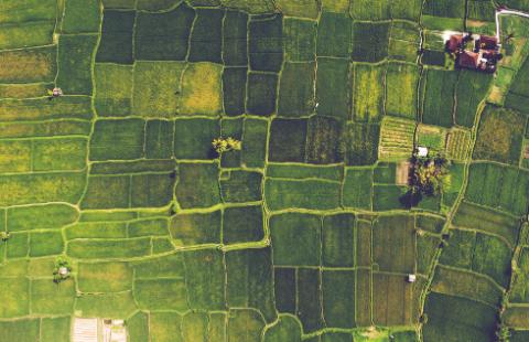 GMO: pytania i odpowiedzi w sprawie zmian ustawy o nasiennictwie (cz. 1)