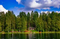 Ekspert oszacował wartość polskich lasów