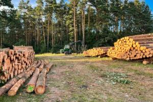 Karczewski nt. ustawy dot. wycinki drzew: gdzieś wkradła się pomyłka