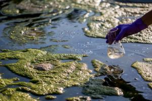 Ekspert: polskie wody będą zanieczyszczone jeszcze przez kilkadziesiąt lat