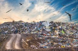 Nowe prawo ma zapobiec patologiom w gospodarce odpadami