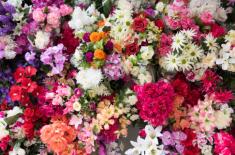 Czy zakupy kwiatów, materiału do dekoracji sal należy ująć w PKPiR w kolumnie 10, czy też kolumnie 13 (sprzedaż...