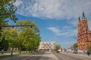 Przy zezwoleniu na wycinkę urzędnik nie zastąpi obiektywnego biegłego