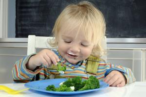 Kielce: salmonella przyczyną zachorowań dzieci z przedszkoli