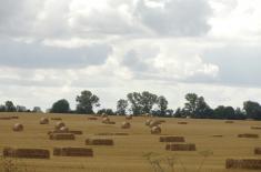 Rząd zmienia zasady ubezpieczenia rolników