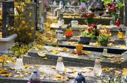Premier zapowiada odkupowanie od sprzedawców kwiatów na cmentarze