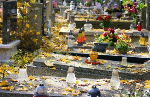 Zakaz wejścia na cmentarze: pomoc dla przedsiębiorców od 50 krzaków chryzantem