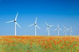 Lewiatan: Sześć dni na konsultacje programu o małych elektrowniach wiatrowych to za mało