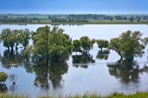 Stan klęski żywiołowej w kolejnym powiecie i gminach