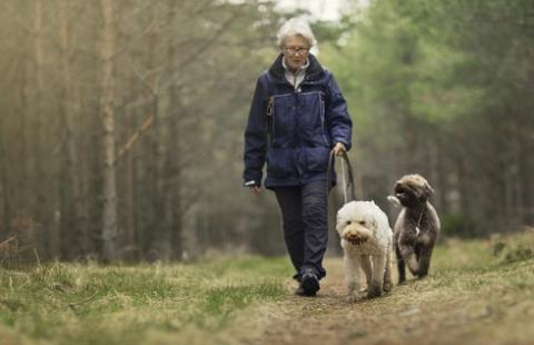 Zwierzęcia domowego nie można pochować w ogródku