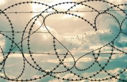 SN: Sprawa aktorki oskarżonej o zniesławienie Straży Granicznej do ponownego rozpoznania