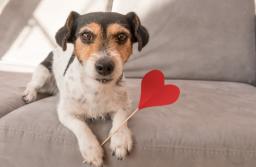 Prawo konkurencji dotyczy także branżowych związków i stowarzyszeń