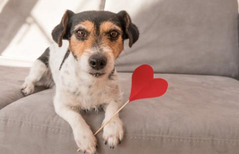 Prawo konkurencji dotyczy także branżowych związków i stowarzyszeń