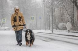 Pozostawienie zwierzęcia na mrozie może być przestępstwem