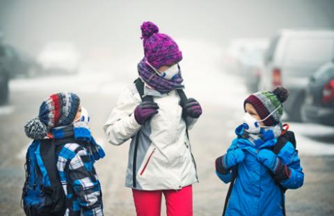 Mieszkańcy Rybnika i Torunia pozywają państwo za smog