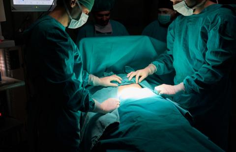 Leczenie powikłań po przeszczepie ma być świadczeniem gwarantowanym