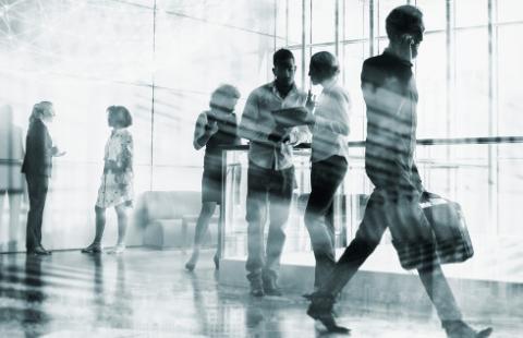 Raport płacowy Hays Poland 2025: 86 proc. pracodawców planuje rekrutować