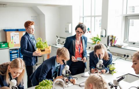 Co trzy głowy to nie jedna? Kolegialny organ na czele szkoły