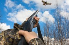 Resort klimatu chce zakazu polowań na m.in. cyraneczkę i krzyżówkę