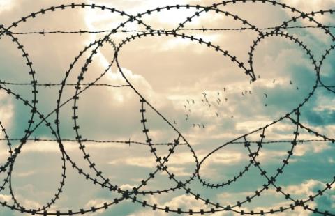 Ruszył proces aktywistów, bo imigranci osiągnęli korzyść