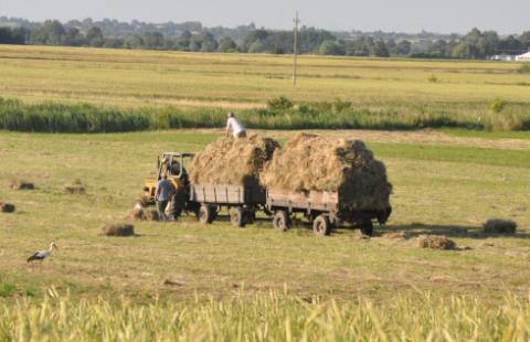 Czy rolnik produkujący pellet płaci PIT