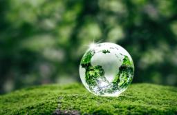 KPMG: 89 proc. polskich firm raportuje informacje ESG