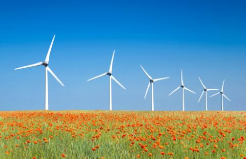 Rząd daje sobie czas do piątku na ustawę o wiatrakach