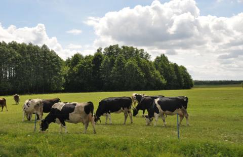 Członkowie wspólnot gruntownych mogą wnioskować o odszkodowanie