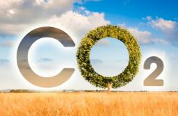 Nowy katalog celów klimatycznych w projekcie o ETS
