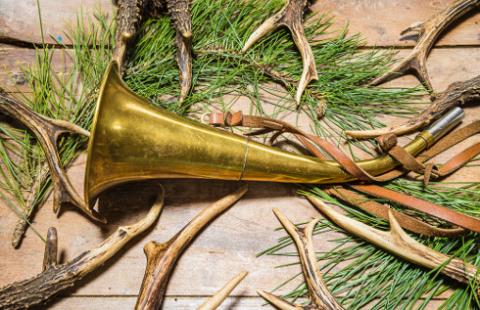 Koła łowieckie poza systemem rejestrów - brak jawności utrudnia życie obywatelom