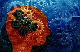 Ułatwienia dla startupów i spółek uczelnianych wśród nowych pomysłów na deregulację