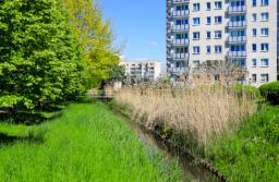 NSA: Odszkodowanie za usunięcie drzew obejmuje koszty odtworzenia trawnika