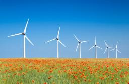 Senat za ustawą o wiatrakach, wprowadził jednak 27 poprawek