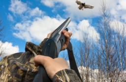 Kolejna odsłona walki o ograniczenie polowań na ptaki