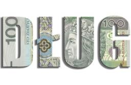 Co ósma spółka z o.o. widnieje w Krajowym Rejestrze Długów