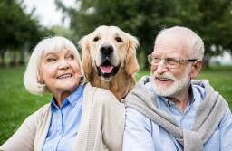 O ile wzrośnie wskaźnik waloryzacji emerytur i rent w 2026 r.