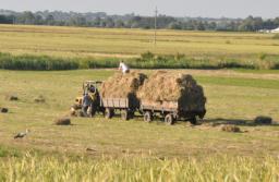 Będzie łatwiej oddłużyć 100 tysięcy rolników