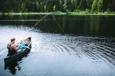 Gmina sprzedaje działkę ze stawem w przetargu, sąd podważa działanie wójta