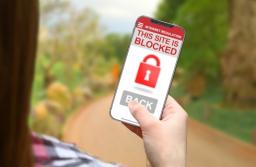 Rząd wraca do ustawy o pornografii w sieci