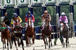 Sąd zbada, dlaczego konie pobiegły na skróconym dystansie