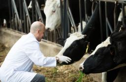 Będzie amnestia dla zużywających duże ilości wody