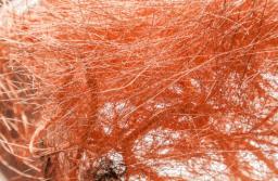 MF: Rząd za zmniejszeniem podatku od wydobycia niektórych kopalin