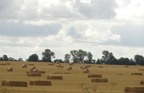 NSA: Radny zasiadywał gminną działkę i stracił mandat