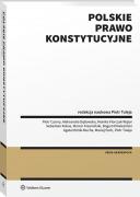 Polskie prawo konstytucyjne ebook